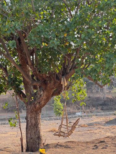 Brown House at Ambhe Malangad