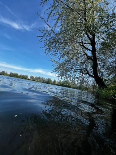 ZATOR Domki SŁONECZNE ZACISZE