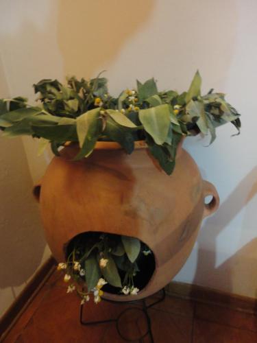 Photo - Cusco's Flat