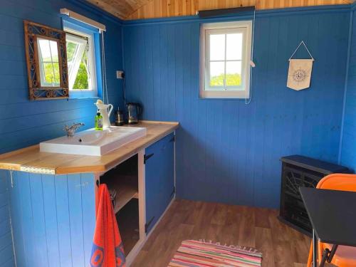 Shepherds Hut - Brecon Beacons in Gvinfī