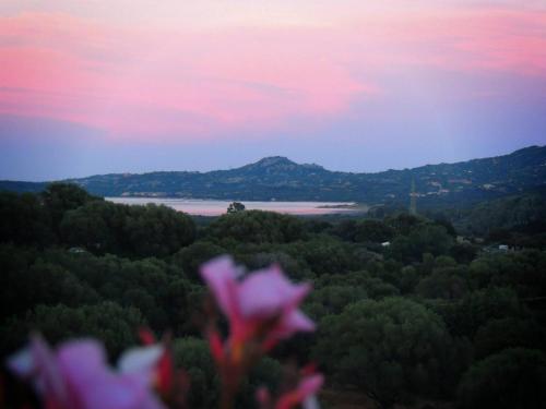  Agriturismo Sa Mendhula, Cugnana bei Porto Rotondo