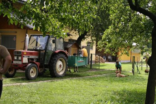 Bauernhof-Pension Puschnikhof in Unternarrach, Österreich