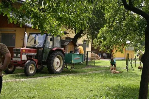 Bauernhof-Pension Puschnikhof in Unternarrach, Österreich