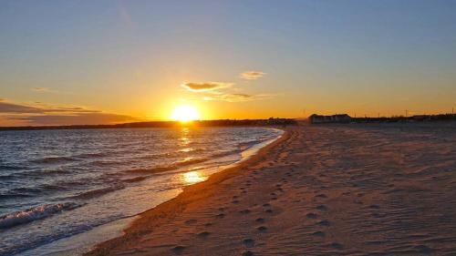 5-Mins to Forest Beach Dog Friendly