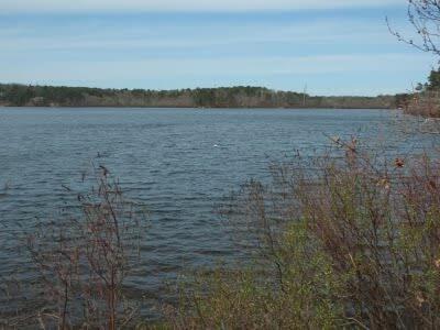 5-Mins to Forest Beach Dog Friendly