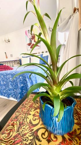 Zenit Guest House - image 12