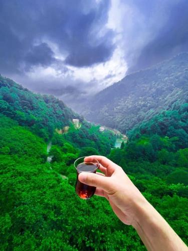 Uzungöl’e Yakın Doğadaki Eviniz