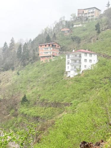 Uzungöl’e Yakın Doğadaki Eviniz