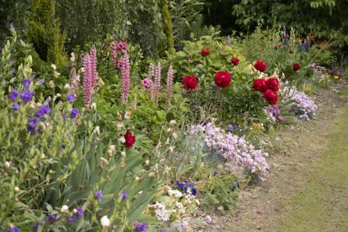 Tiny Away Benger Garden 1