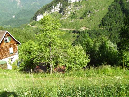 Romantische Ferienhütte Ennstaler Nat Kalkalpen bis 6 Personen