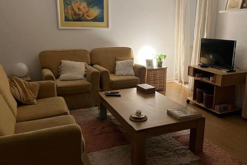 Vouga Lodge - Apartment - São Pedro do Sul