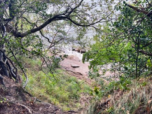 Ferienhäuser Insel Usedom Waldhaus 3 mit Whirlpool - Direkt am Achterwasser Ferienhäuser Insel Usedom Waldhaus 3 mit Whirlpool - Direkt am Achterwasser