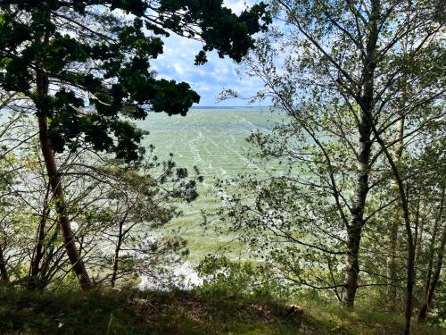 Ferienhäuser Insel Usedom Waldhaus 3 mit Whirlpool - Direkt am Achterwasser Ferienhäuser Insel Usedom Waldhaus 3 mit Whirlpool - Direkt am Achterwasser