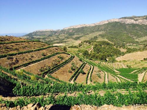 Buil & Gine Wine Hotel