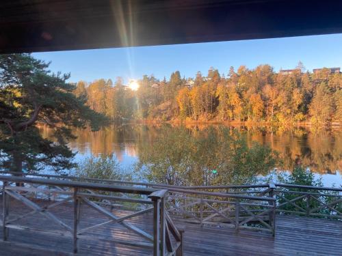 Lakeside Moss in Moss