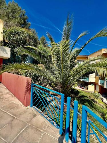 quiet studio swimming pool Roquebrune - Tap to explore photos
