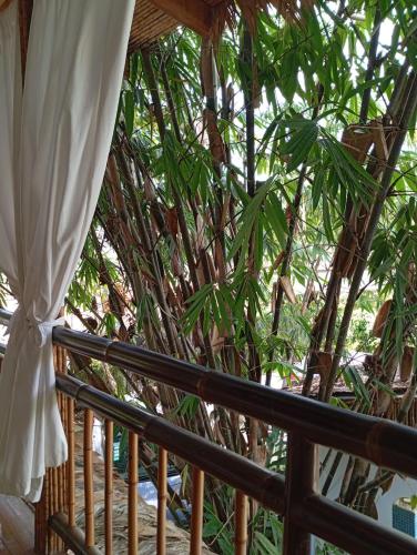 Black Bamboo B&B