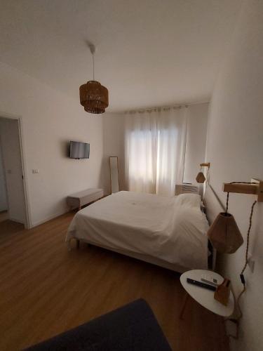 Interno 4 al Vaticano - image 14