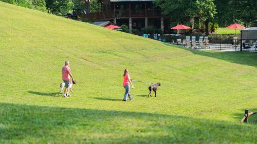 Bear Mountain - image 9