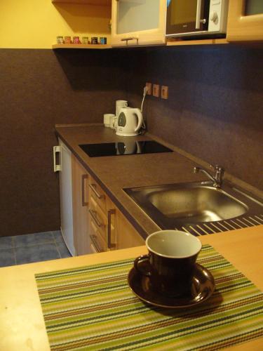 Cocina, PENZION U TOČÍKA (PENZION U TOCIKA) in Jindrichuv Hradec