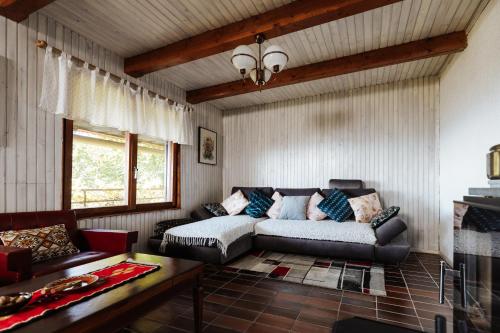 Serenity in Loce