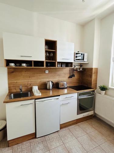 Studio Apartment Bluebell, Bratislava (photo 2)