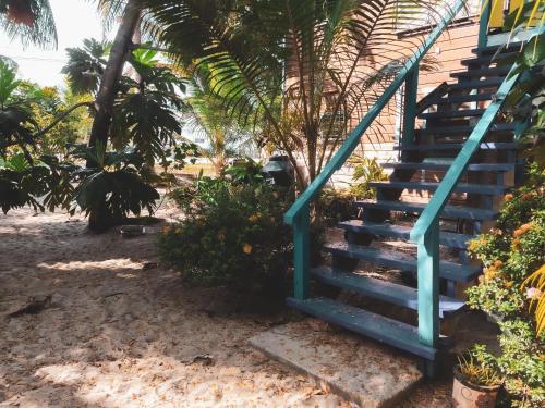 ทัศนียภาพภายนอกโรงแรม, Anda Di Hows Hostel in พลาเซนเซีย