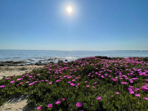 Casa Vacanze Salento