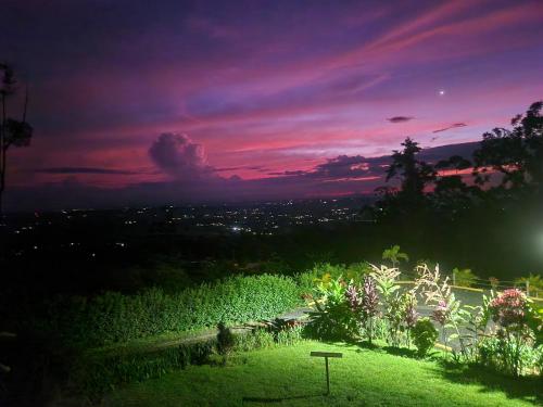 La Fortuna Rainforest Glass Cabin w/amazing views