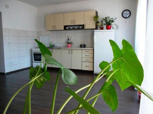 Előcsarnok, Hostel Room in Banja Luka