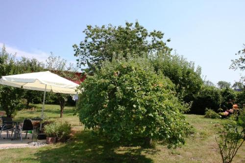 Ferienhaus mit Terrasse und Kamin