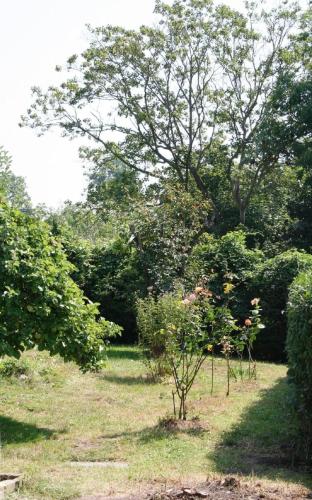 Ferienhaus mit Terrasse und Kamin