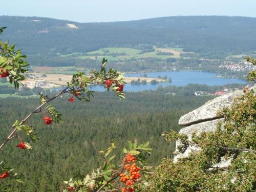 Ferienwohnung mit zwei Schlafzimmern und Balkon - b56485