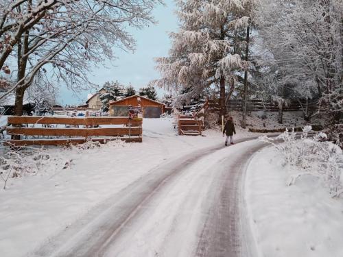 Domek na Słonecznikowej