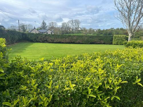 Ocean View, Bushmills (Foto 10)
