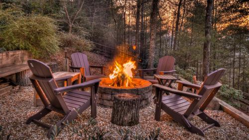 Cozy Bear Lodge in Morganton, USA