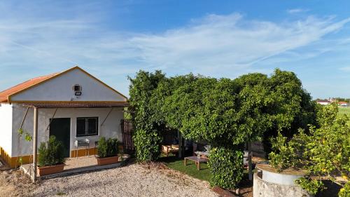 Casa Trincadeira in ปาลเมรา