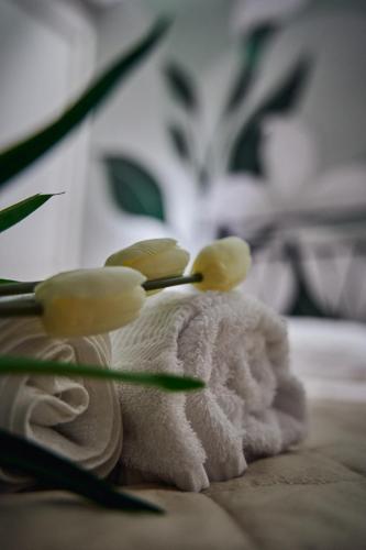 B&B TRINACRIA CACCAMO - LUXURY ROOMS