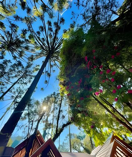Garden, Cabana Suspensa na Natureza - Regiao Turistica in Parque Rancho Alegre