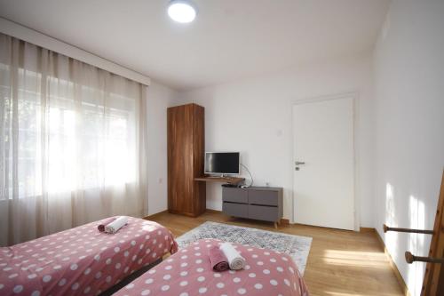 Brick house, Cetinje (fotografie 10)