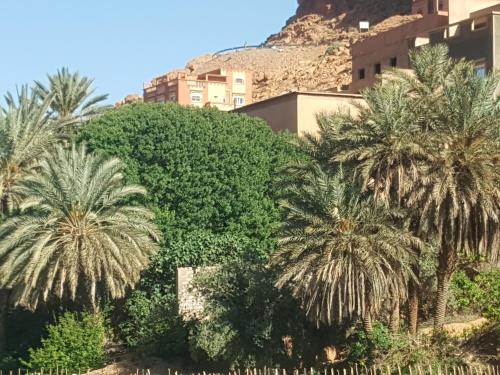 Palm Valle guest house B&B Palm Valle guest house B&B