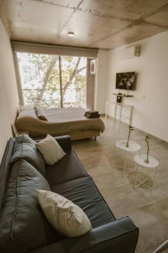 Apartment in the historic San Telmo neighborhood