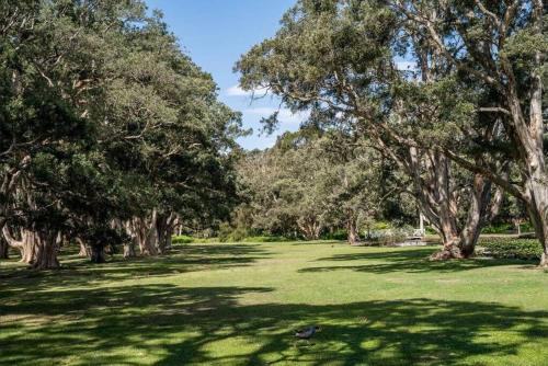 Woollahra Wonder - image 13