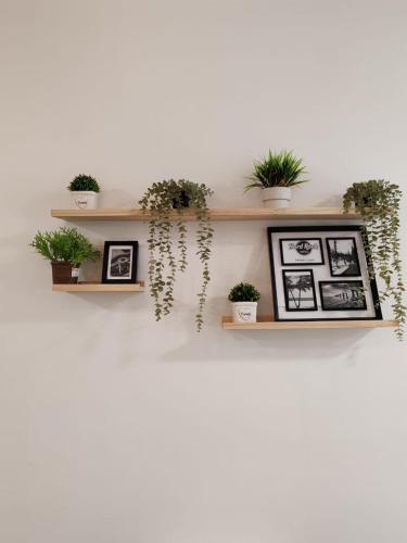 Rizz Desaru Residence Rizz Desaru Residence