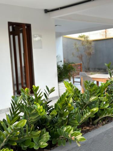 Rio Claro Comfort Hostel e Suítes – São Luís, MO