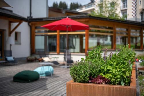 Hotel Schweizerhof Lenzerheide