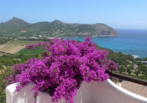Meervilla Mallorca - Charmantes Ferienhaus mit phantastischem Meerblick in Canyamel in Canyamel