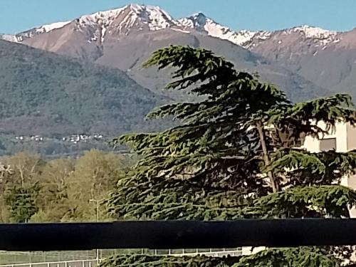 Castle-View Bellinzona