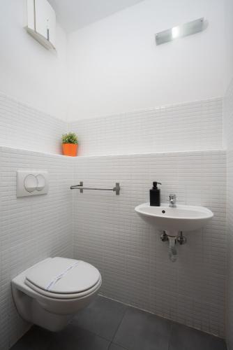 One-Bedroom Apartment image 10