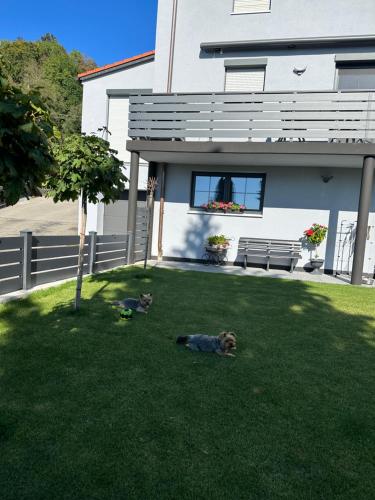 Ferienwohnung am Jacobsweg in 霍恩派辛堡